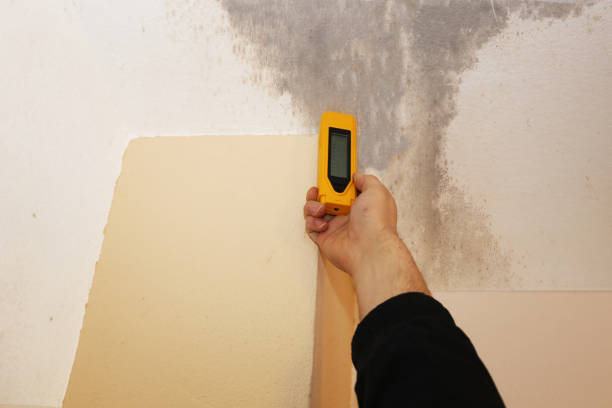 Best Indoor Air Quality Assessment  in San Buenaventura, CA
