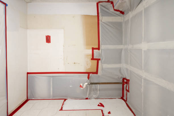 Best Water Damage & Mold Remediation  in San Buenaventura, CA