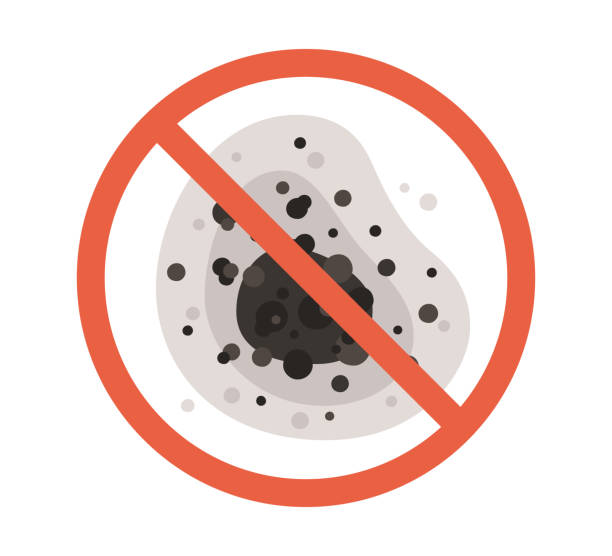 Best Mold Removal for HVAC Installations  in San Buenaventura, CA