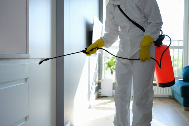 Best Mold Remediation for Healthcare Facilities  in San Buenaventura, CA