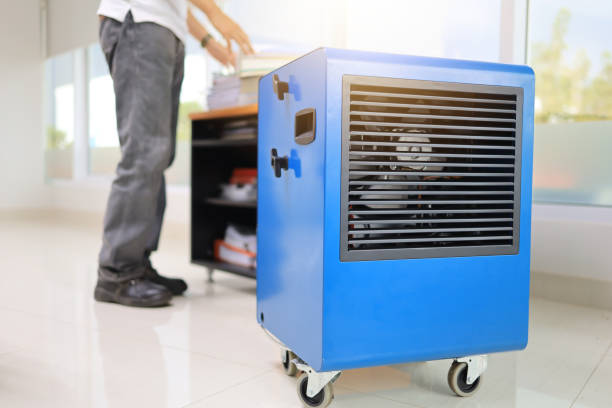 Mold Documentation for Insurance Claims in San Buenaventura, CA